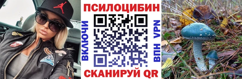 сколько стоит гидра онион Галлюциногенные грибы мицелий Грозный