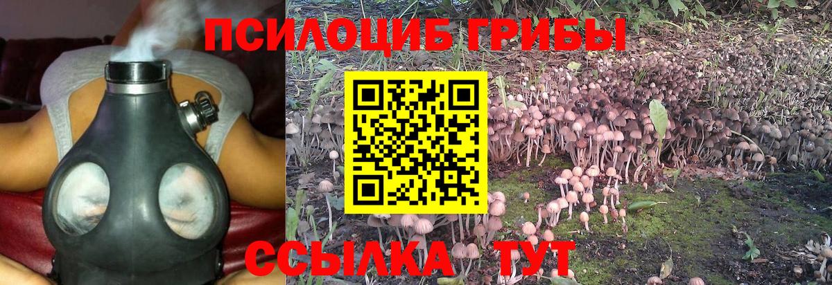 Грозный  Галлюциногенные грибы ЛСД  Вход с VPN 